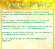 Sapone Alga ecologico biodegradabile all'olio di cocco per bucato a mano e lavatrice