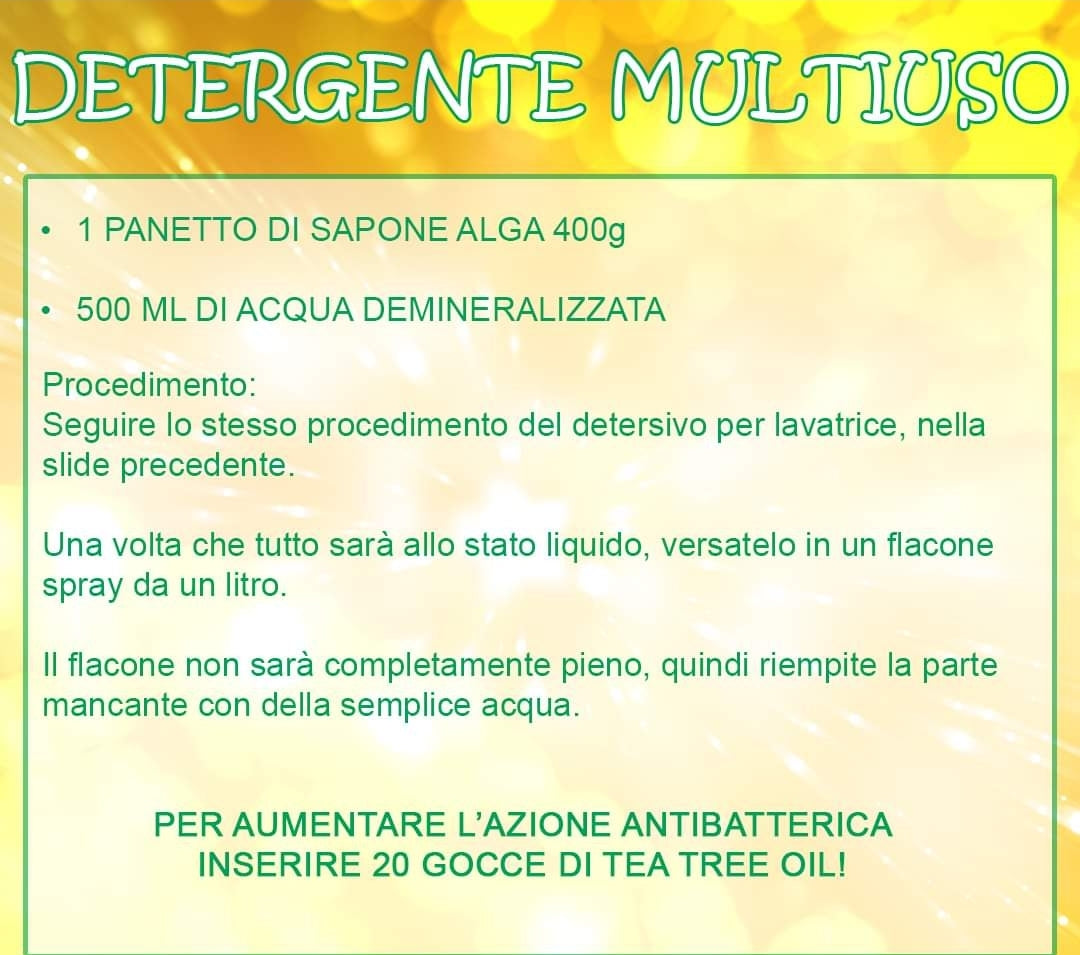 Sapone Alga ecologico biodegradabile all'olio di cocco per bucato a mano e lavatrice